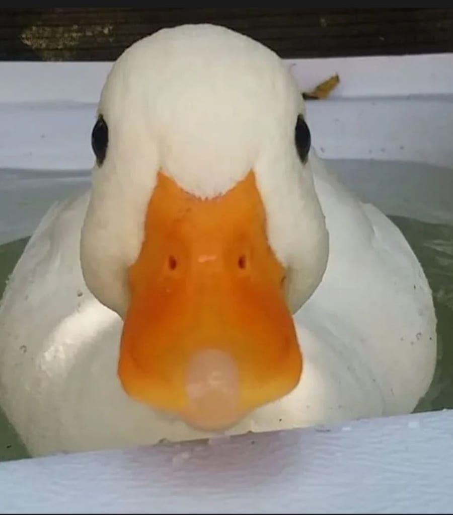 Profil de Ugo, 39 ans, Annonce gay à Lincent (Liège)